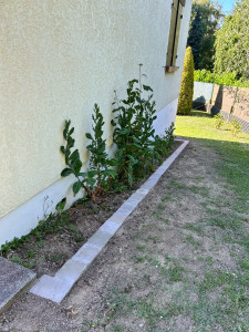 Photo de galerie - Créations de massif en pavé de rue 
