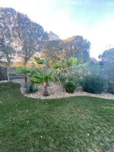 Photo de galerie - Création d’un massif méditerranéen 