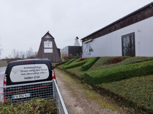 Photo de galerie - Taille de haies et d'arbustes