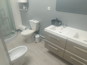 Photo de galerie - Peinture de carrelage et pose d'un sol de salle de bain 