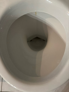 Photo de galerie - WC après nettoyage et détartrage 