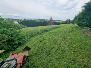 Photo de galerie - Tonte de pelouse