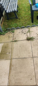 Photo de galerie - Nettoyage au Karcher 