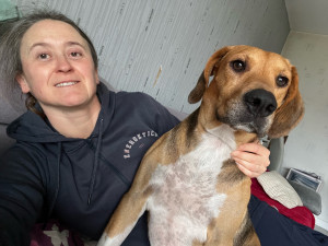 Photo de galerie - Bonjour à vous besoin d’aide dans les gestes quotidiens n’hésitez pas à faire appel à moi je suis quelqu’un de confiance, professionnelle avec des références sérieuses et p