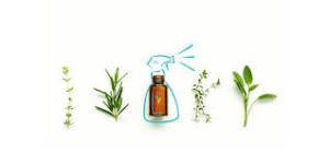 Photo de galerie - Des Produits et Fleurs sans produit chimique