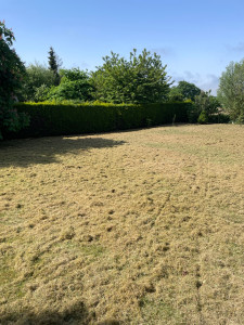 Photo de galerie - Scarification 