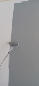 Photo de galerie - Renouvellement peinture