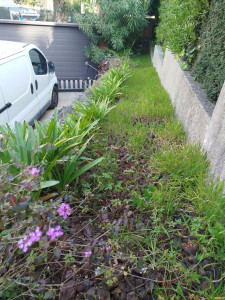 Photo de galerie - Paysagiste - Aménagement du jardin