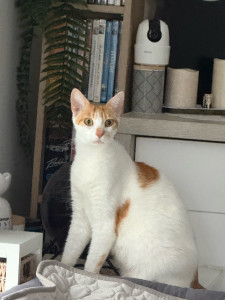 Photo de galerie - Pépita chérie de min Poppy 