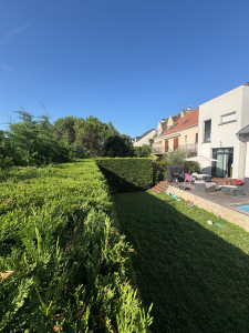 Photo de galerie - Taille d’une haies de Tuya 