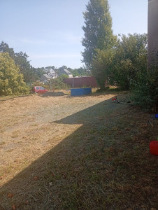 Photo de galerie - Tonte de pelouse - Débroussaillage