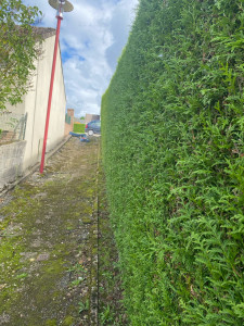 Photo de galerie - Avant 