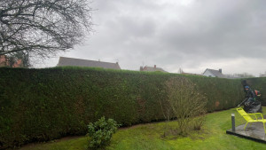 Photo de galerie - Taille d’une haie 