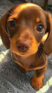 Photo de galerie - Lune ?