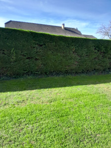 Photo de galerie - Petite entreprise espace vert 