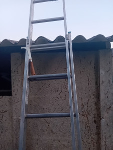 Photo de galerie - Demousage de toiture