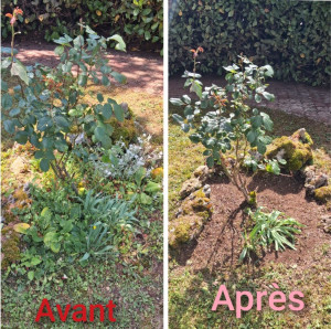 Photo de galerie - Paysagiste - Aménagement du jardin