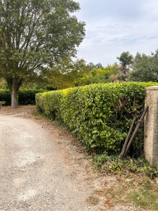 Photo de galerie - Aprés.        