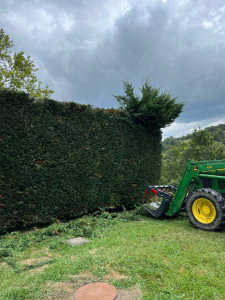 Photo de galerie - Entretien espaces verts