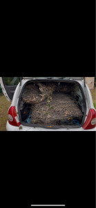 Photo de galerie - Évacuation déchets - Gravats