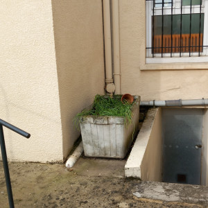 Photo de galerie - Paysagiste - Aménagement du jardin