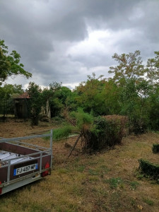 Photo de galerie - Elagage et coupe d'arbres