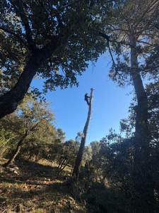 Photo de galerie - Pin 