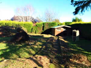 Photo de galerie - Tonte de pelouse - Débroussaillage