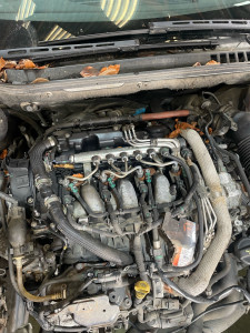 Photo de galerie - Bonjour n’hésitez pas m’envoyer des messages je ferai tout je fais les déplacements aussi merci 