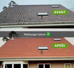 Photo de galerie - Nettoyage de toiture 