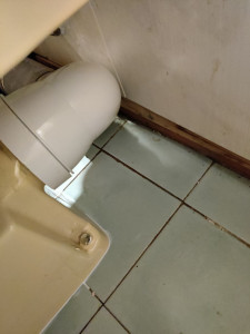 Photo de galerie - Remplacement pipe d'evacuation WC
