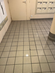 Photo de galerie - Ménage