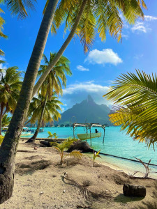 Photo de galerie - Photographe