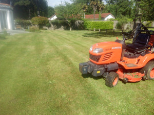 Photo de galerie - Tonte de pelouse - Débroussaillage