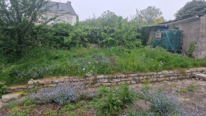 Photo de galerie - Tonte de pelouse - Débroussaillage