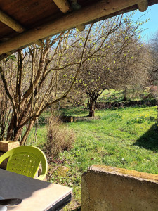 Photo de galerie - Jardin