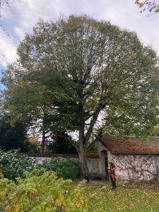 Photo de galerie - Paysagiste - Aménagement du jardin