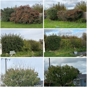 Photo de galerie - Paysagiste - Aménagement du jardin