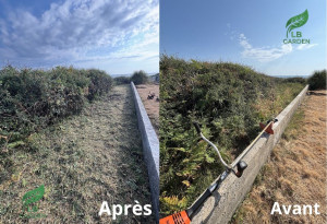 Photo de galerie - Tonte de pelouse - Débroussaillage