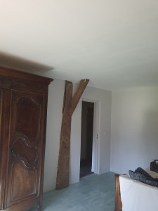 Photo de galerie - Rénovation de plafon je fais tout travaux intérieurs extérieurs ravalement de façade pienture intérieur pose parquet tout travaux 