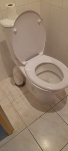 Photo de galerie - Remplacement wc