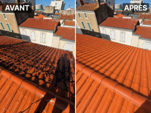 Photo de galerie - Avant après nettoyage de toiture 