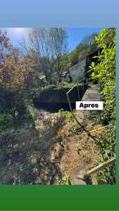 Photo de galerie - Elagage et coupe d'arbres