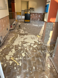 Photo de galerie - Arrachage de lino 