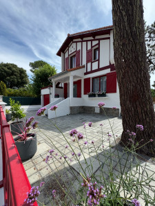 Photo de galerie - Pavés béton avec joints drainants et mise en place de plantes en pots 
