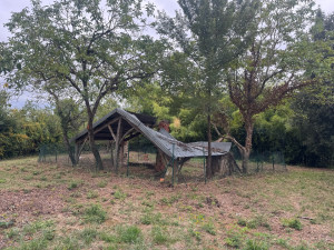 Photo de galerie - Tonte de pelouse - Débroussaillage