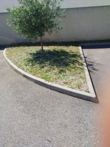 Photo de galerie - Tonte de pelouse - Débroussaillage