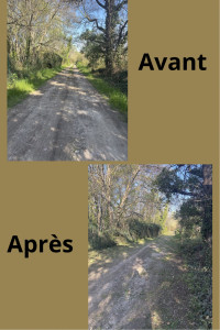 Photo de galerie - Débroussaillage 