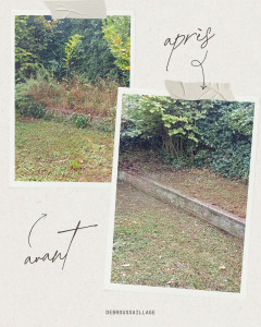 Photo de galerie - Tonte de pelouse - Débroussaillage