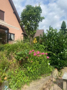 Photo de galerie - Jardinier